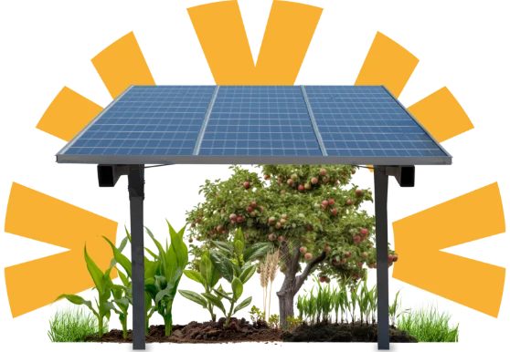 Récoltez des bénéfices avec l'énergie solaire agricole