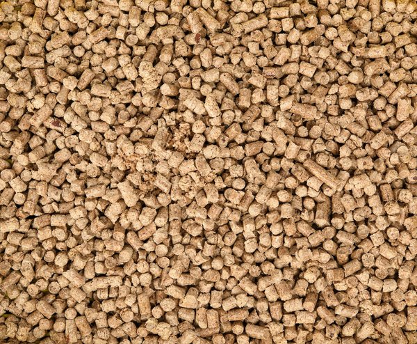 Comment améliorer le compostage des matières issues des toilettes sèches écologiques ?