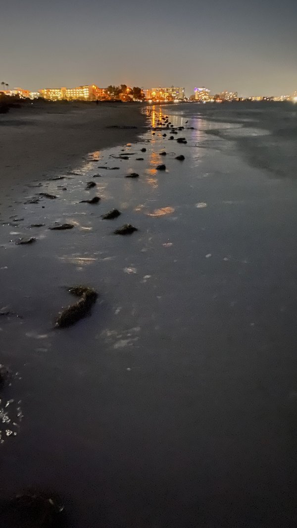 Comment profiter de la vie nocturne à Royan lors d'un séjour en camping ?