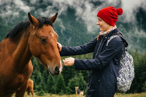 Quels sont les animaux sauvages que l'on peut rencontrer sur le GR20?