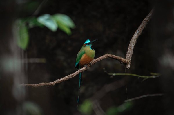 Comment l'expérience de la guerre a-t-elle influencé les peintures de Goya ?