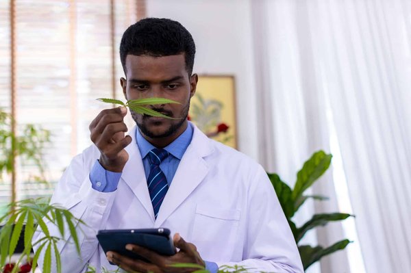 Les bienfaits des produits à base de cannabidiol sur la santé