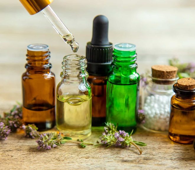 Quelle est cette plante peu conventionnelle qui pourrait améliorer votre routine de soins naturels ?